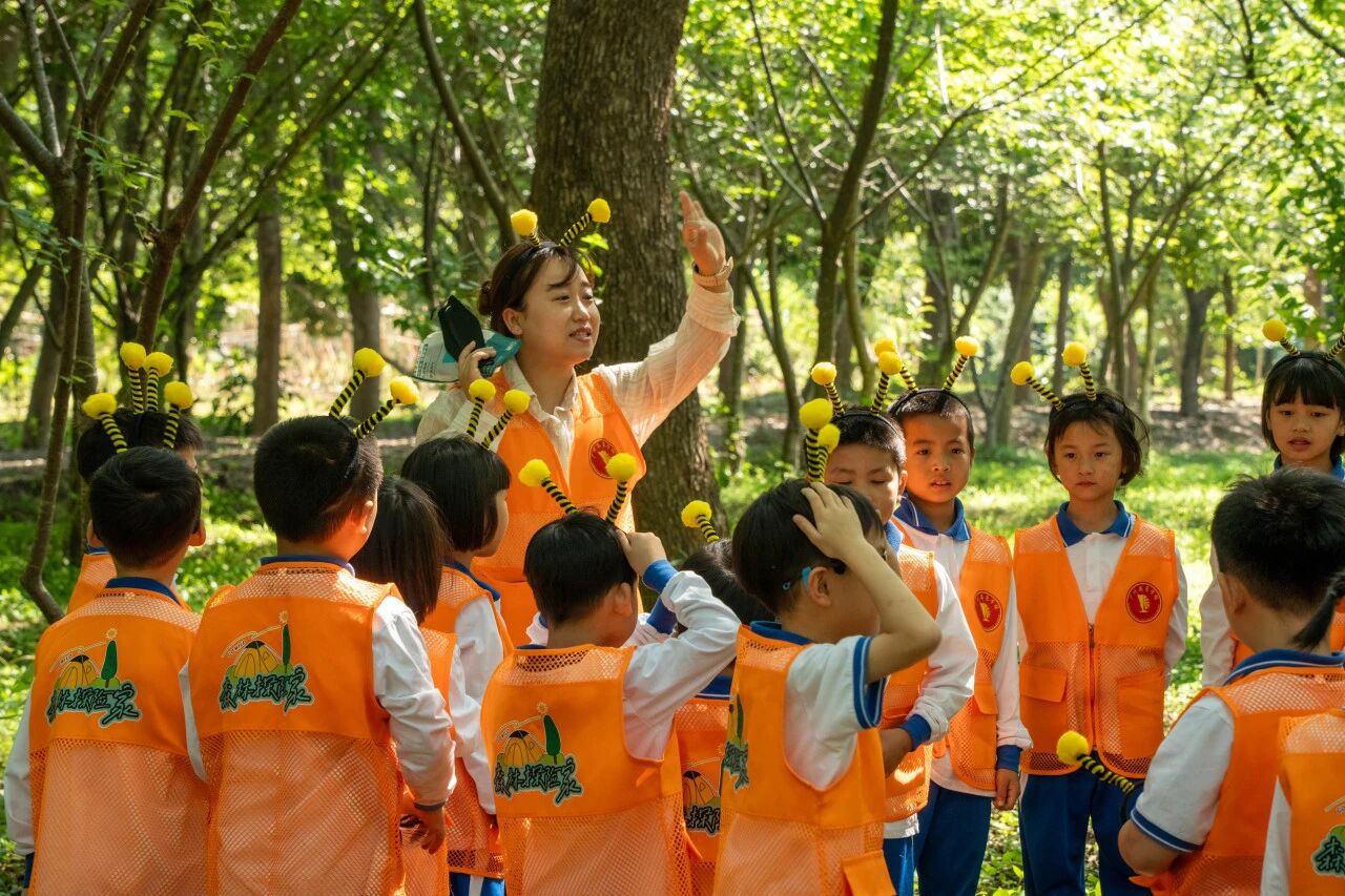 【插班生抢位】720亩森林课堂+AI智能圈！你在广州不可能找到第二家的优质学校，手慢无！