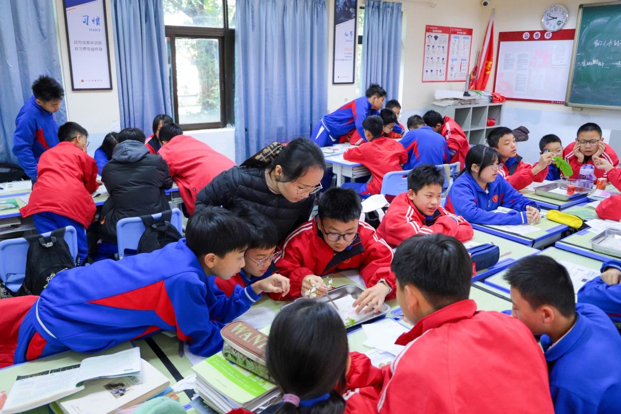 微信图片_20250502170341.jpg